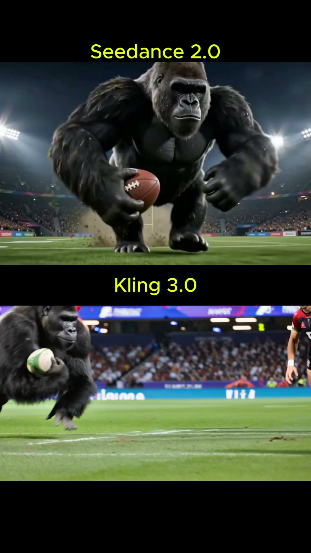 Intense Rugby Showdown Gorillas vs Humans