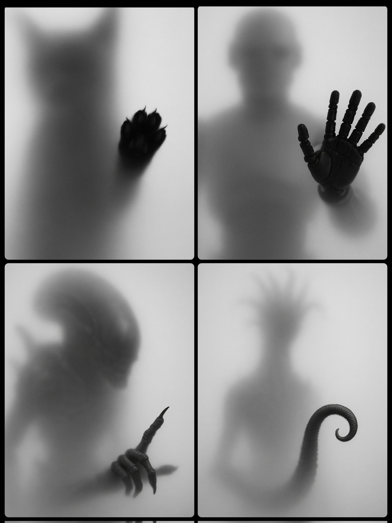 Black and White Photograph Shows the Blurred Silhouette of a SUBJECT