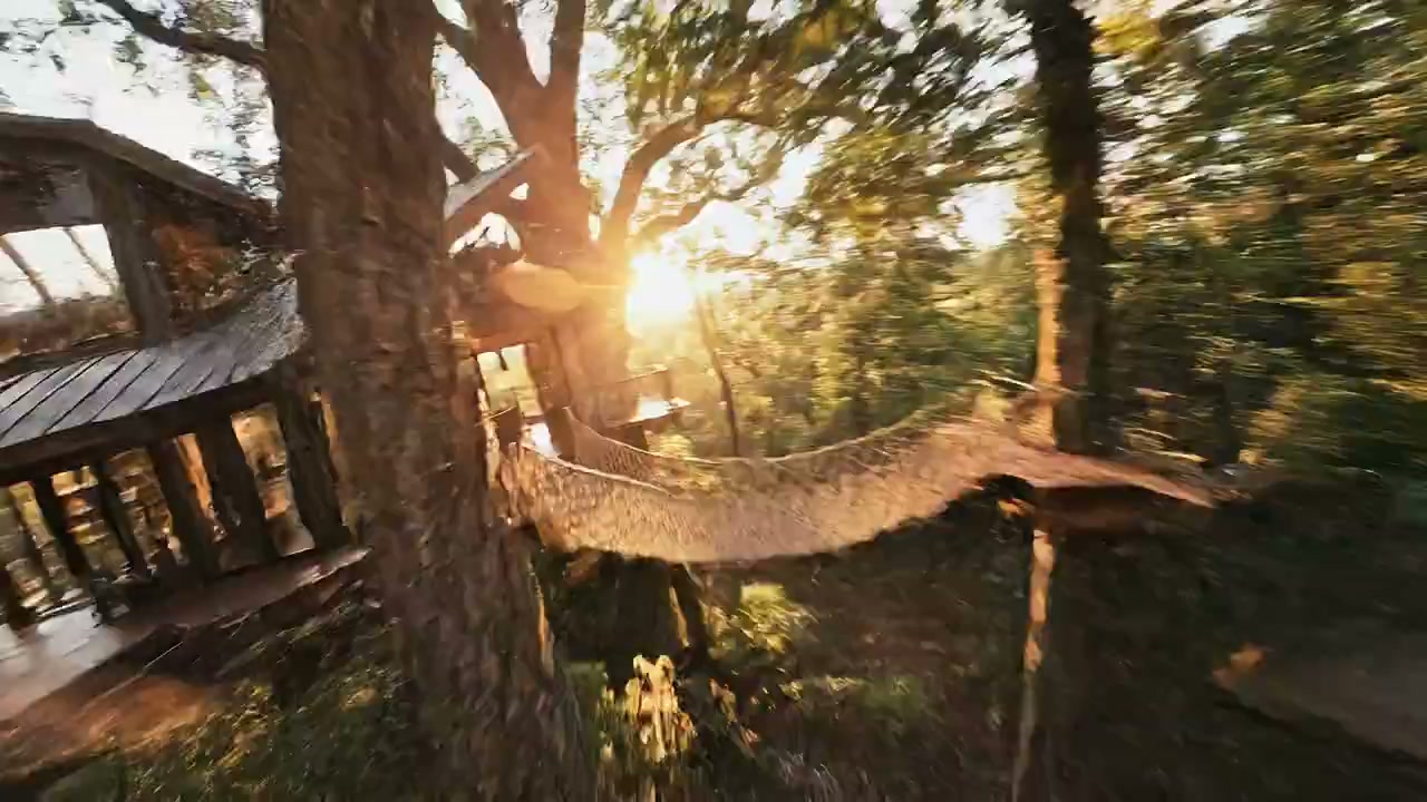 Cinematic Treehouse Flight at Golden Hour
